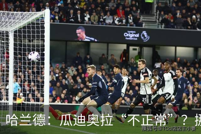 哈兰德：瓜迪奥拉“不正常”？挪威28年后重返世界杯，曼城魔法能带来奇迹吗
