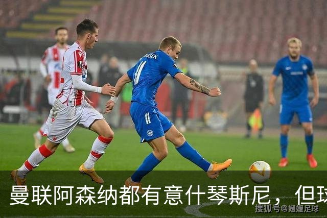 曼联阿森纳都有意什琴斯尼，但球员最终决定退役